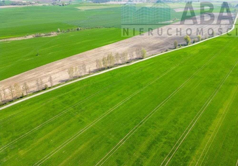 Działka budowlana na sprzedaż Turostówko  4 800m2 Foto 5