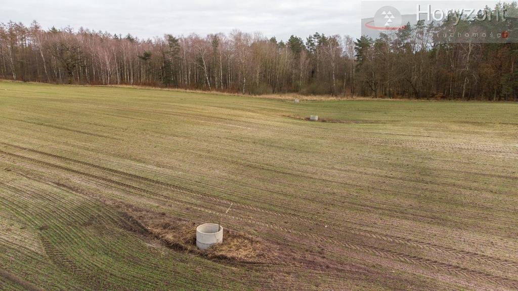 Działka inwestycyjna na sprzedaż Chociwel  500 000m2 Foto 11