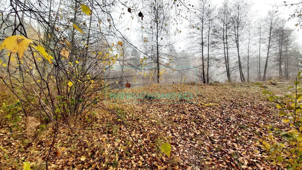 Działka budowlana na sprzedaż Janinów  21 811m2 Foto 14