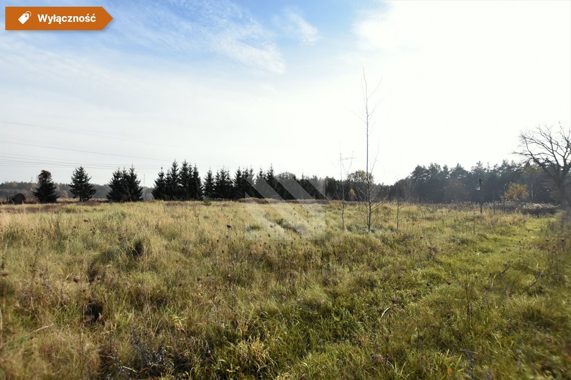 Sprzedam działkę 1726 m² z warunkami zabudowy w Leszycach Leszyce  1 726m2 Foto 1