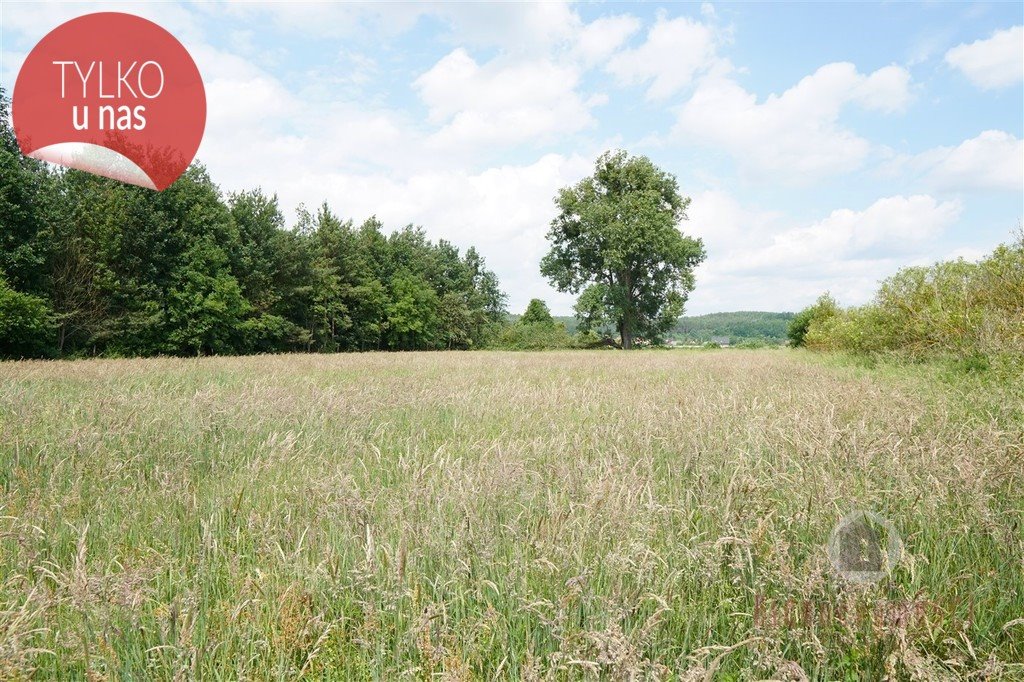 Działka rolna na sprzedaż Stare Kurowo  24 300m2 Foto 3