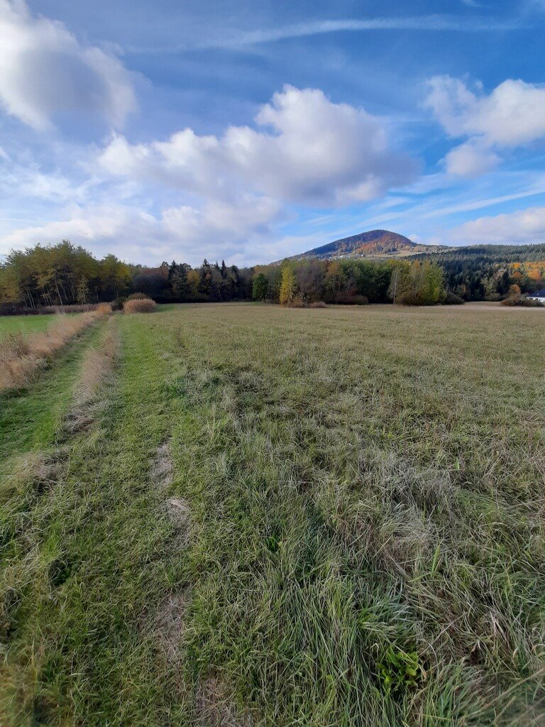 Działka budowlana na sprzedaż Ptaszkowa  1 100m2 Foto 1