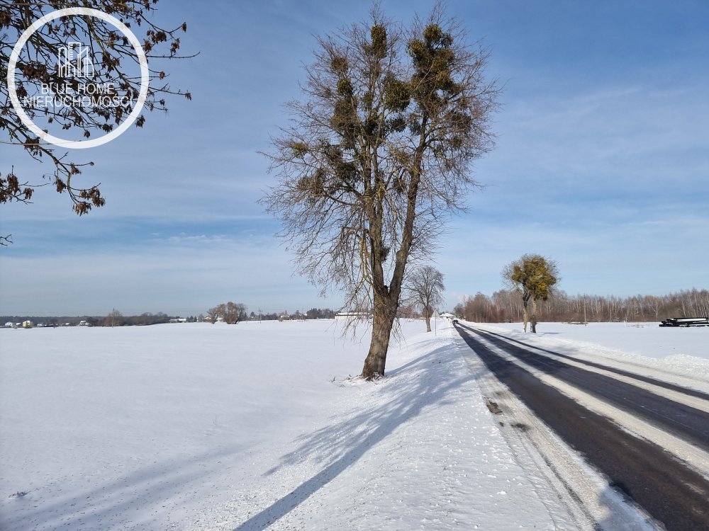 Działka rolna 3,98 ha z dostępem do drogi i infrastruktury Strupin Duży  3 979m2 Foto 1