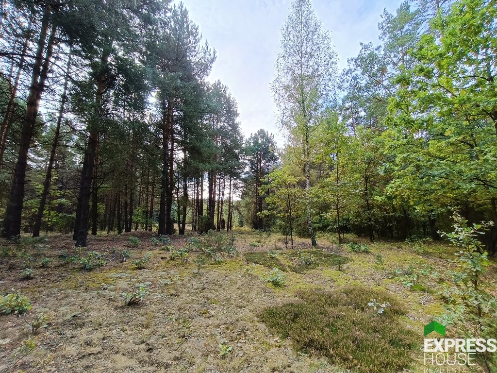 Działka rekreacyjna 9132 m² w Radachówce z lasem i dostępem do rzeki Radachówka  9 132m2 Foto 1