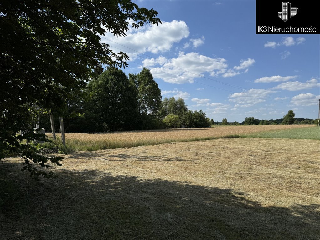 Działka budowlana na sprzedaż Czarna  12 100m2 Foto 5