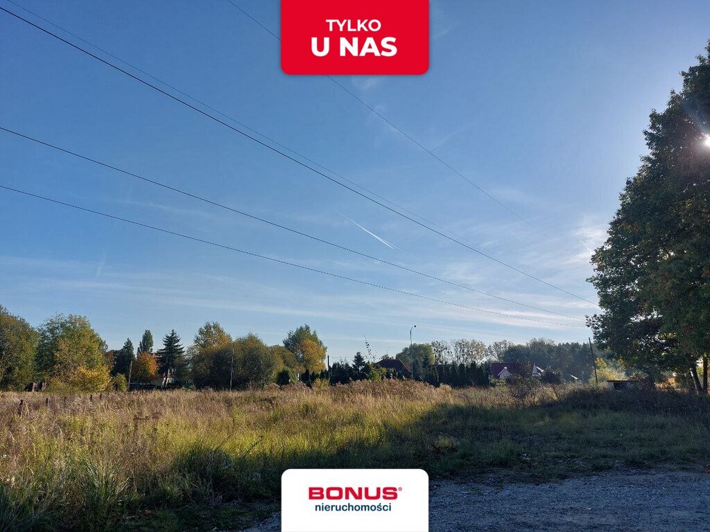 Zapraszam do zakupu działki 4816 m² z warunkami zabudowy Mierzyn  4 816m2 Foto 1