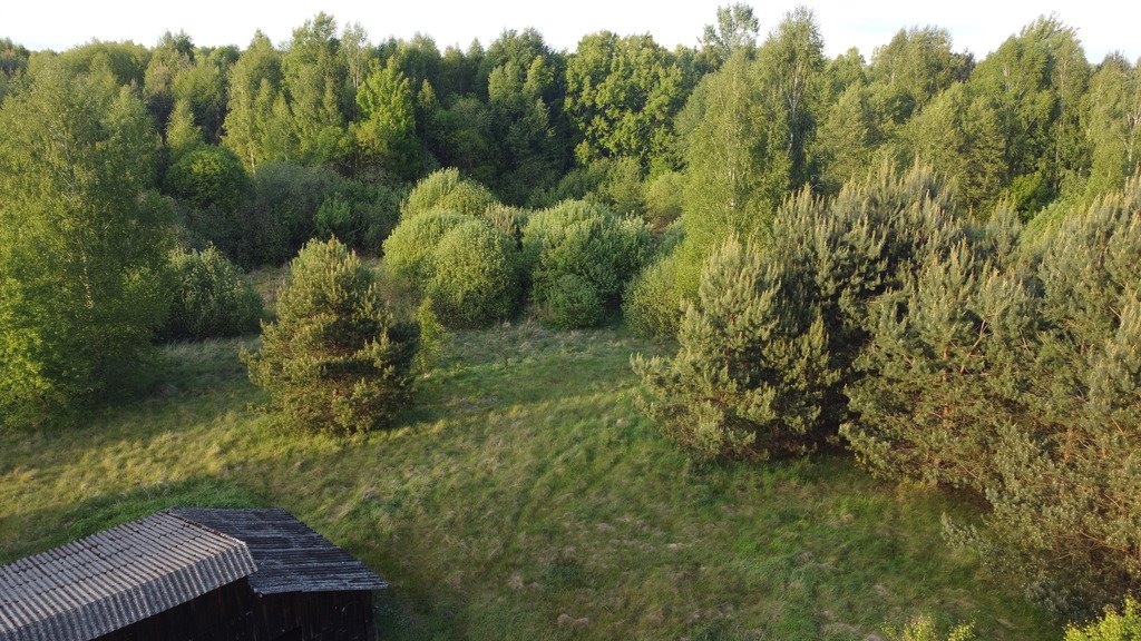 Działka 2,08 ha z lasami i łąkami, do rekreacji Nowy Kawęczyn  20 080m2 Foto 1