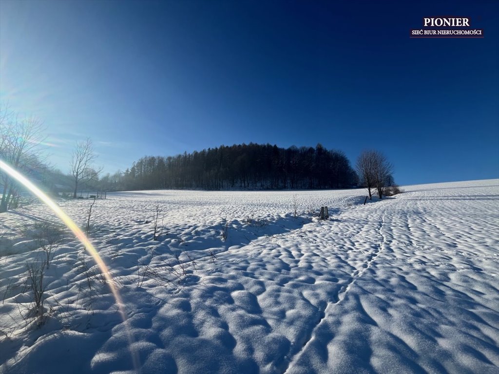 Działka budowlana na sprzedaż Ustroń  3 000m2 Foto 1