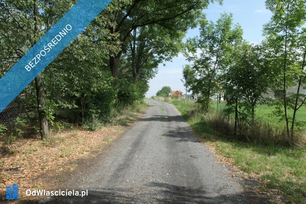 Działka budowlana na sprzedaż Sichów  7 100m2 Foto 3