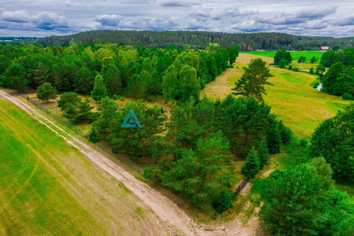 Działka rolna na sprzedaż Płocice  3 875m2 Foto 9