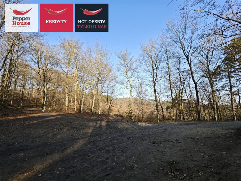 Działka 7 179 m² w Chwarznie-Wiczlinie – podział na 3 działki Gdynia, Chwarzno-Wiczlino, Wiczlińska  7 179m2 Foto 1