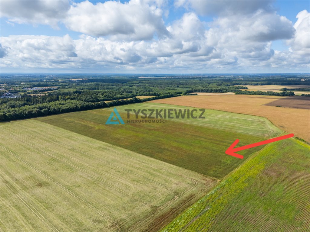 Zdjęcie 7