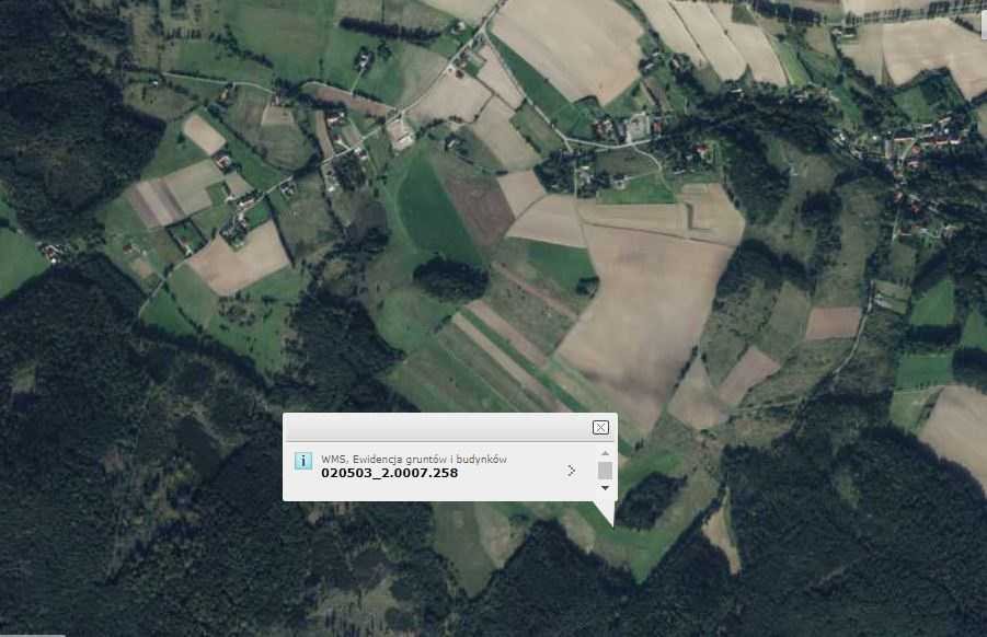 Działka rekreacyjna 2,06 ha z lasami i pastwiskami zapraszam Myślinów, Myślinów  3 001m2 Foto 1
