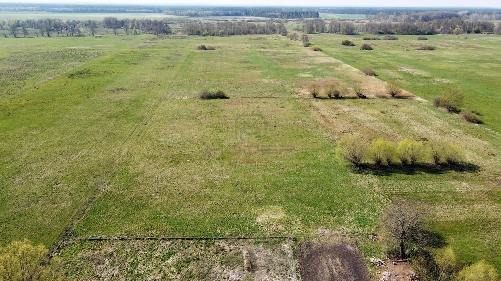 Działka budowlana na sprzedaż Bolemin  1 009m2 Foto 14