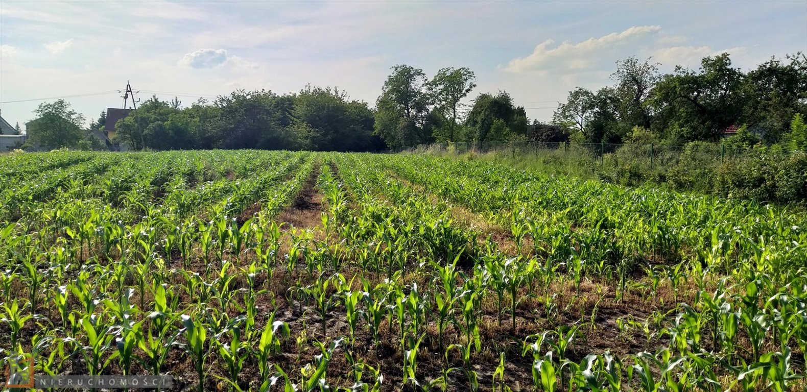 Działka budowlana na sprzedaż Będkowice  2 980m2 Foto 1