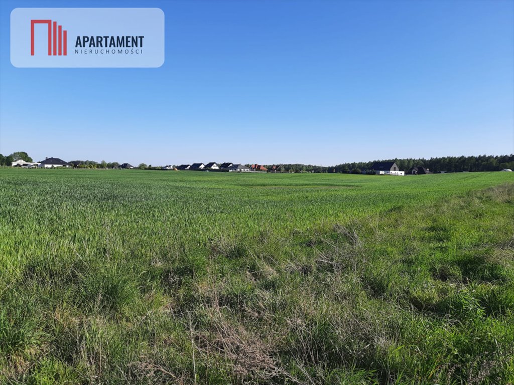 Działka budowlana na sprzedaż Rokocin, Diamentowa  1 000m2 Foto 3