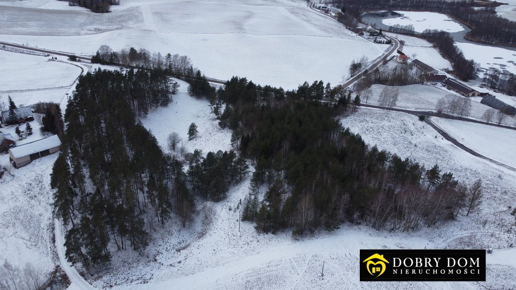 Działka leśna na sprzedaż Sidory  17 400m2 Foto 6