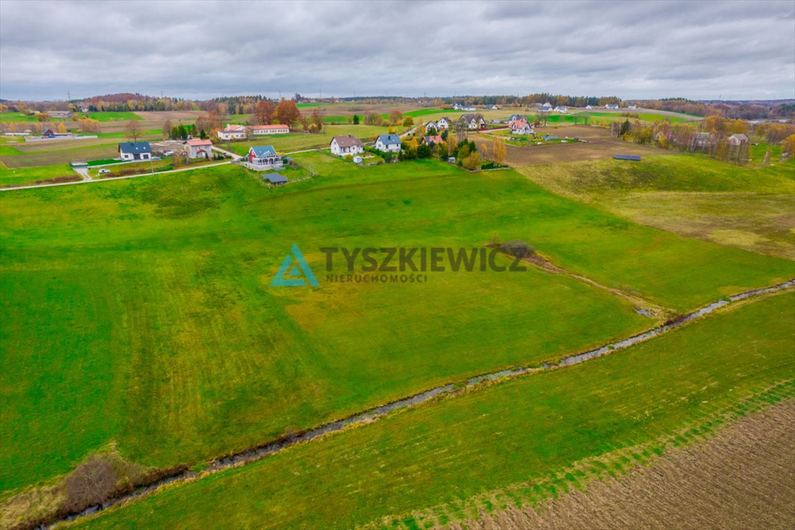 Działka rolna na sprzedaż Połęczyno  11 600m2 Foto 4