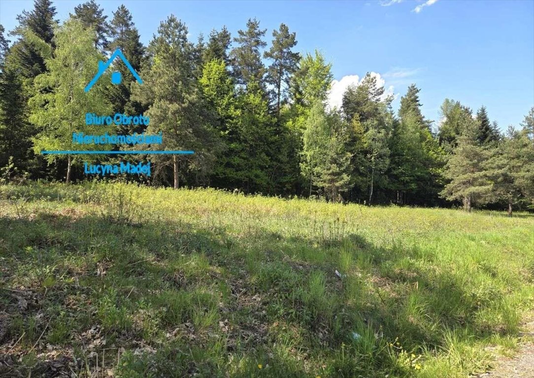Na sprzedaż działka 41 ar w Wysokiej - las, tereny rolne i zabudowa Wysoka  4 100m2 Foto 1