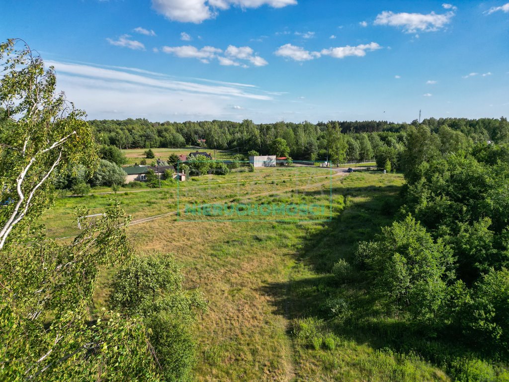 Działka budowlana na sprzedaż Stare Budy  8 083m2 Foto 3