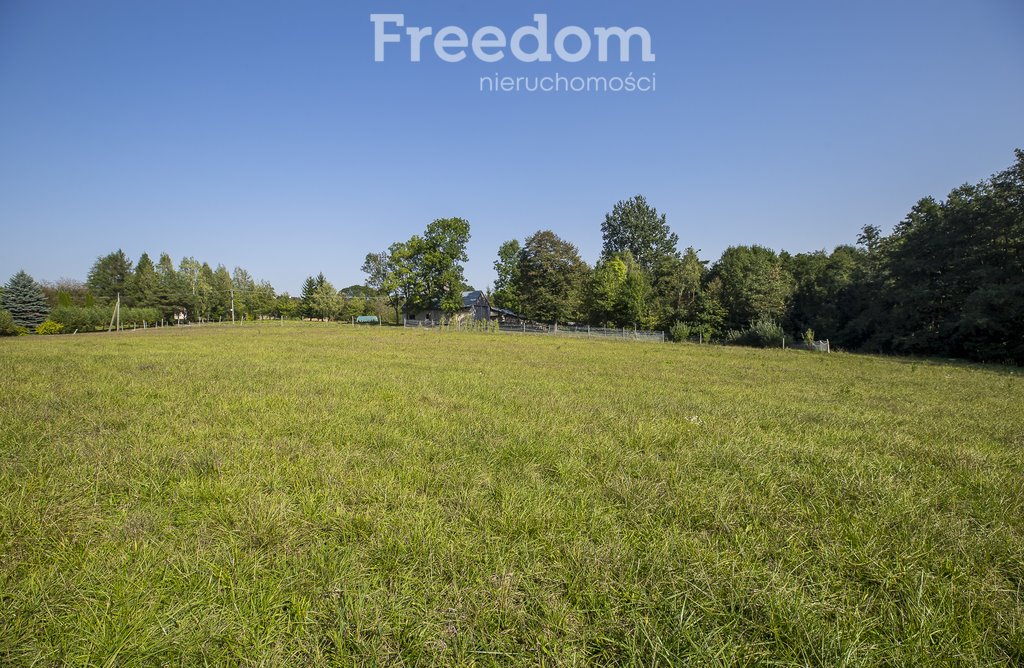 Działka budowlana na sprzedaż Chmielnik  1 600m2 Foto 5