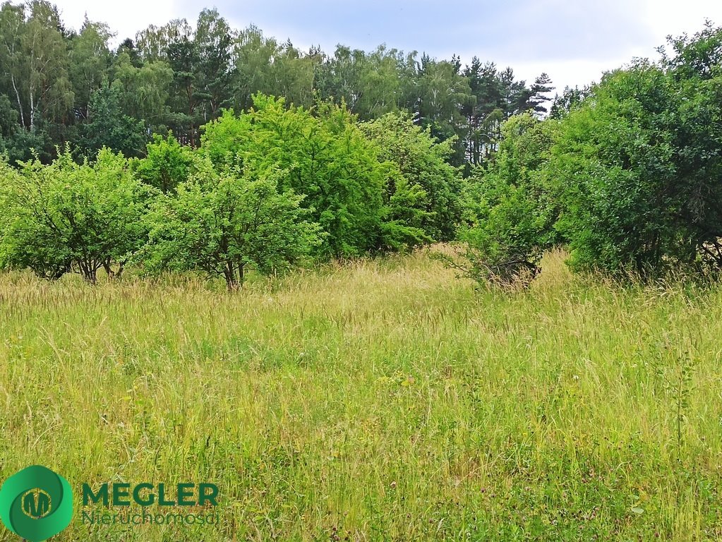 Działka budowlana na sprzedaż Rusiec  950m2 Foto 4