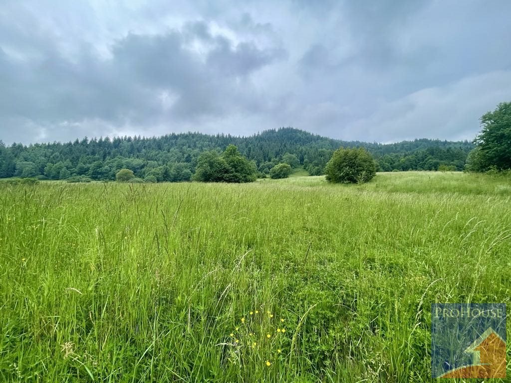 Działka rolna na sprzedaż Kamienica  5 600m2 Foto 1