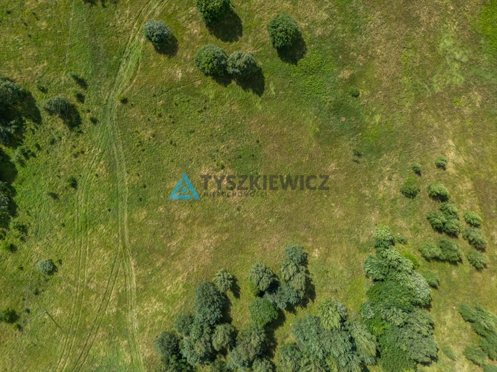 Zdjęcie 8