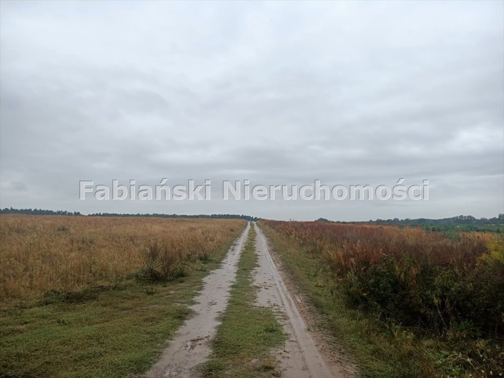 Działka budowlana na sprzedaż Lusówko  1 224m2 Foto 5