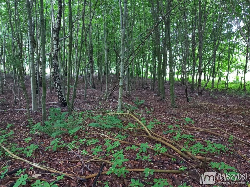 Działka inna na sprzedaż Dargocice, Dargocice 28c  1 090m2 Foto 18