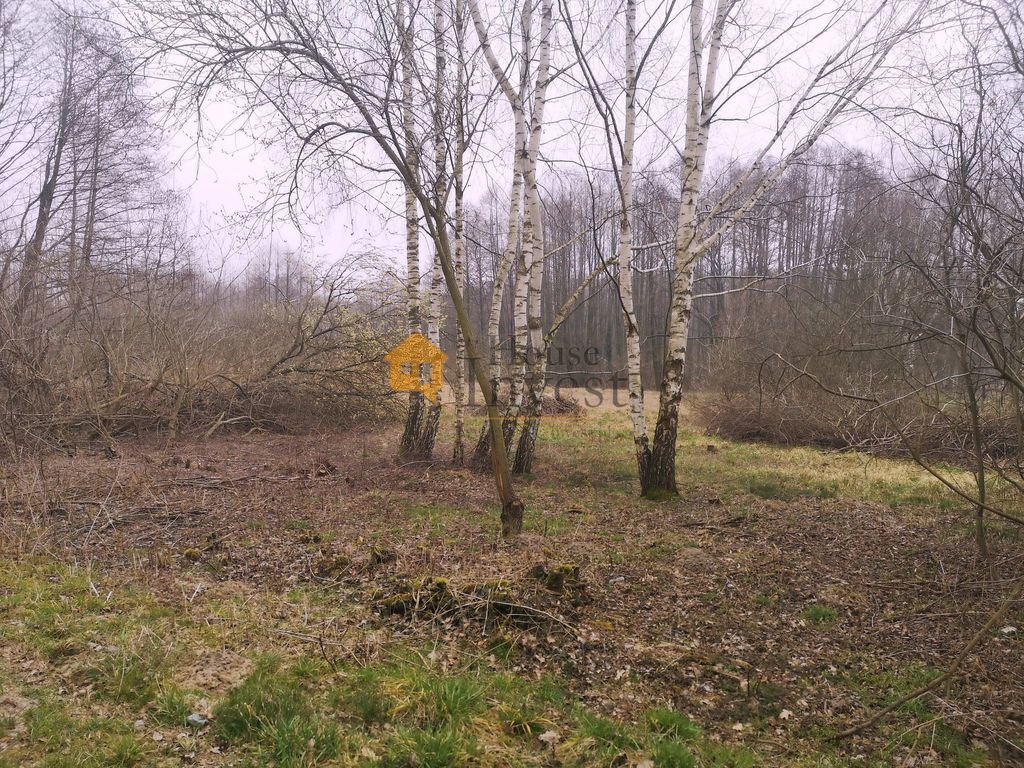 Duża działka 5199 m2 z mediami i możliwością zabudowy Składowice  5 199m2 Foto 1