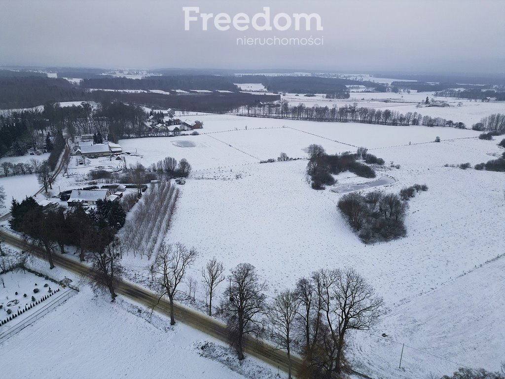 Działka inna na sprzedaż Bajdy  3 000m2 Foto 3