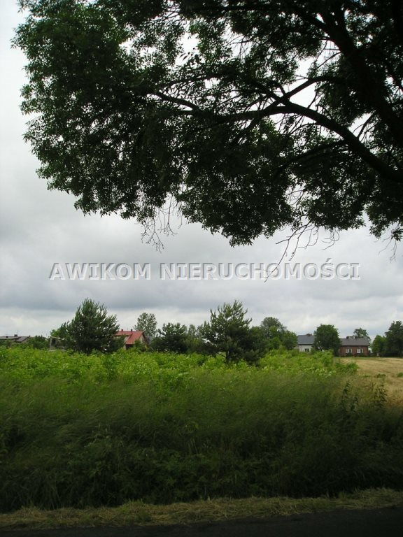 Działka inna na sprzedaż Skierniewice 2 550m2 Foto 1 Działka inna na sprzedaż Skierniewice 2 550m2 Foto 1