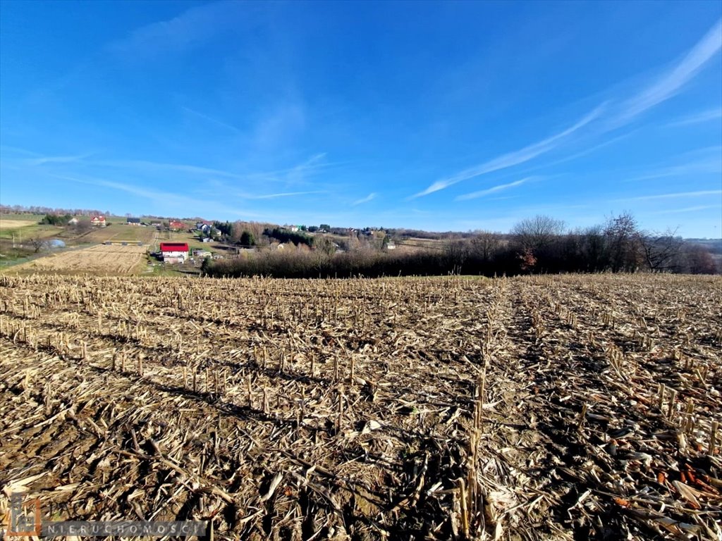 Działka budowlana na sprzedaż Garliczka  2 333m2 Foto 1