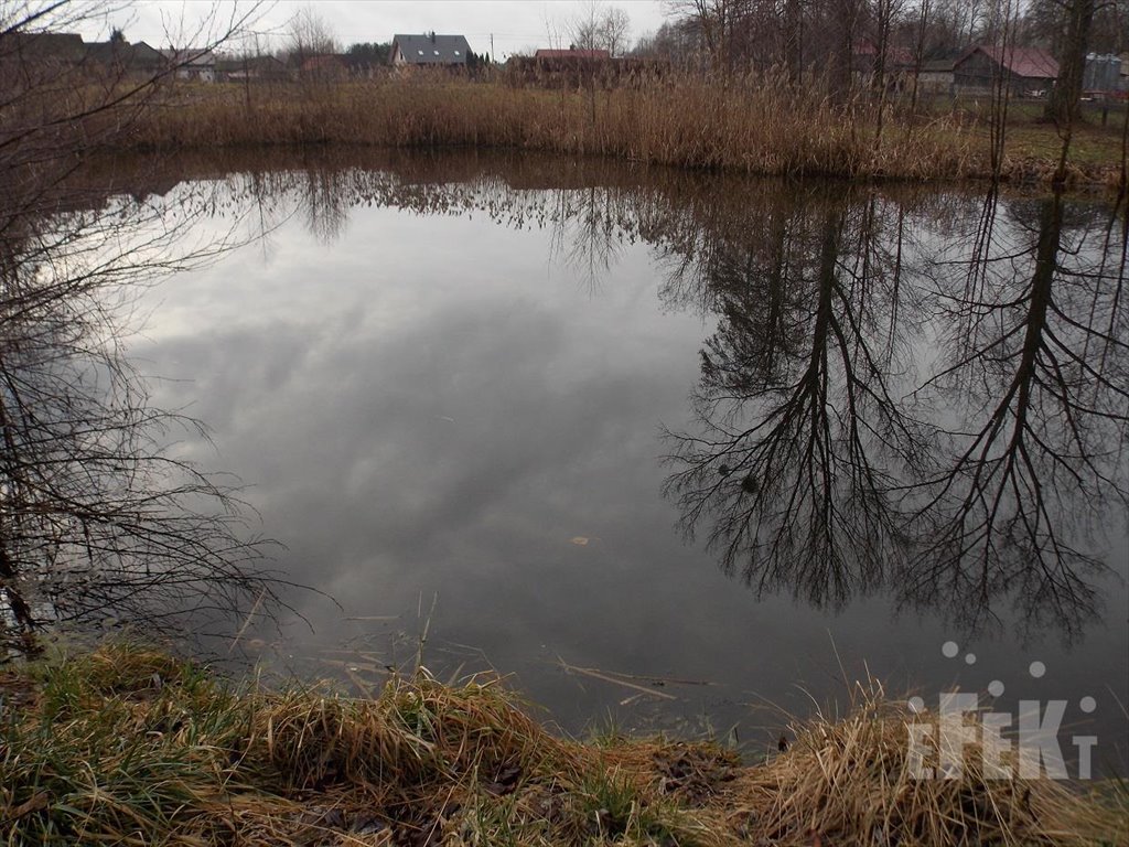 Działka budowlana na sprzedaż Stary Łajszczew  5 272m2 Foto 4