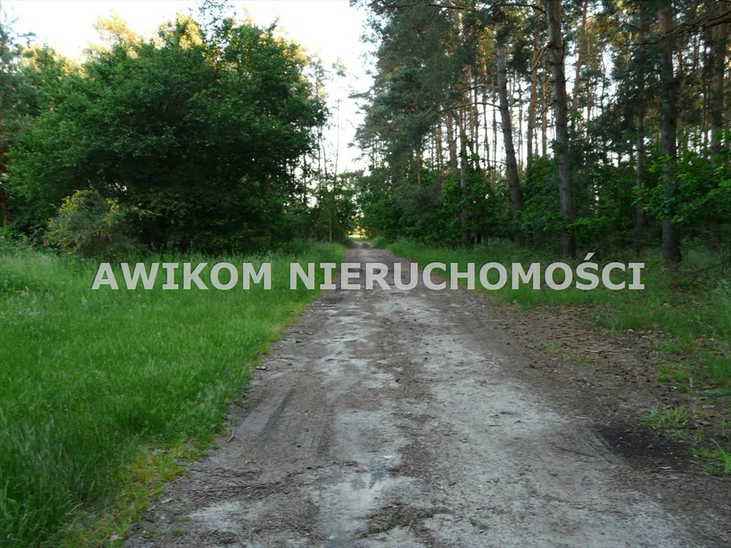 Działka siedliskowa na sprzedaż Bolimów  6 162m2 Foto 3