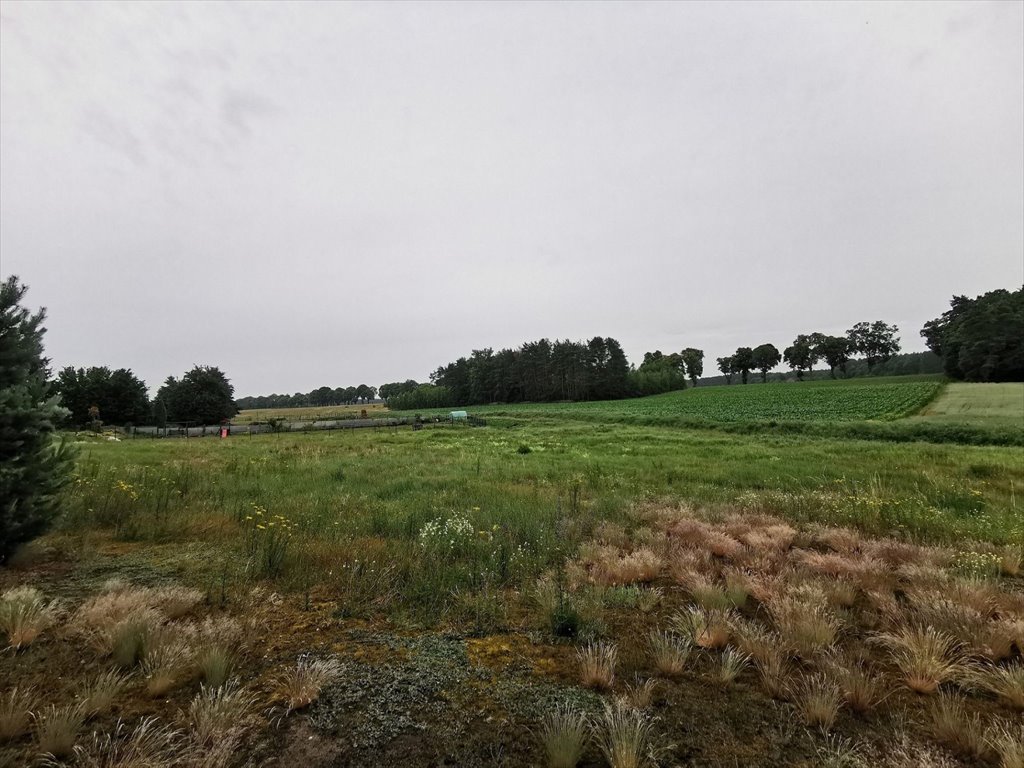 Działka budowlana na sprzedaż Międzybłocie, Międzybłocie  3 008m2 Foto 7