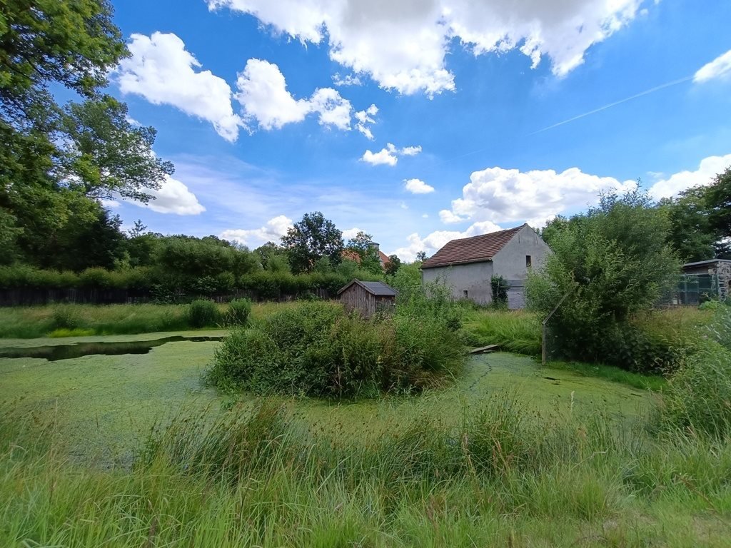 Działka budowlana na sprzedaż Kunów  126 800m2 Foto 20