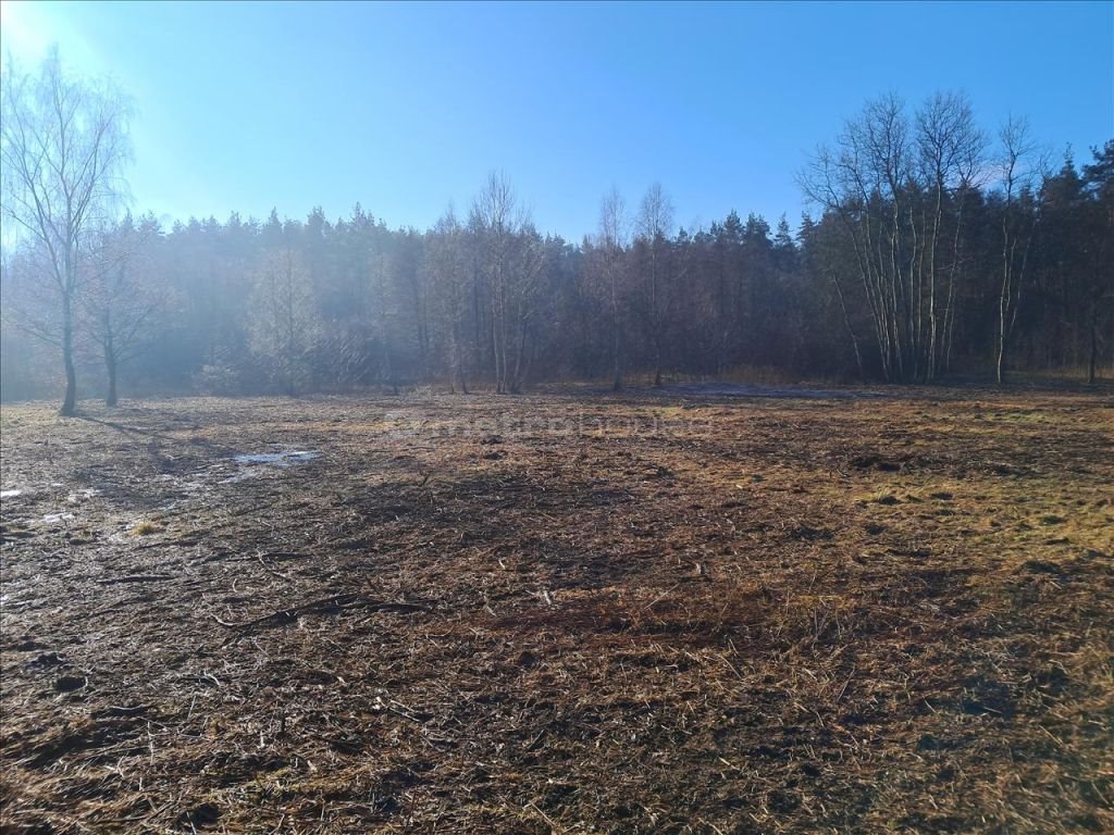 Działka rolna na sprzedaż Kraków, Dębniki  8 900m2 Foto 3