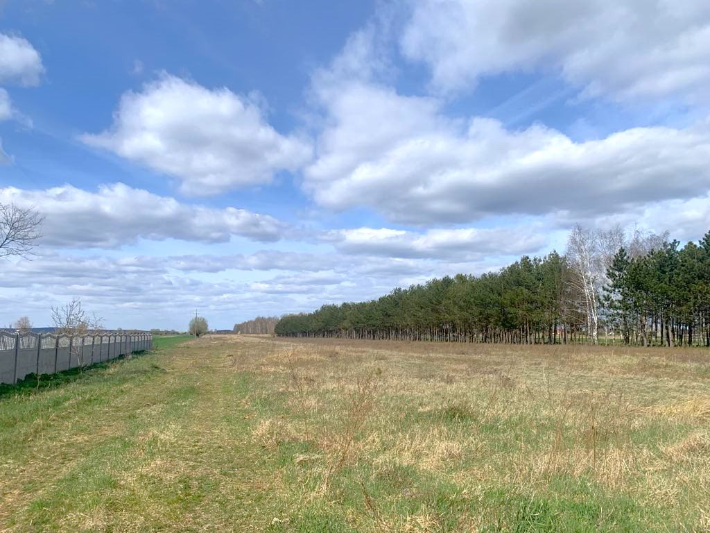 Działka z budynkiem i ziemią pod gospodarstwo, Krwony Krwony, Krwony  39 783m2 Foto 1