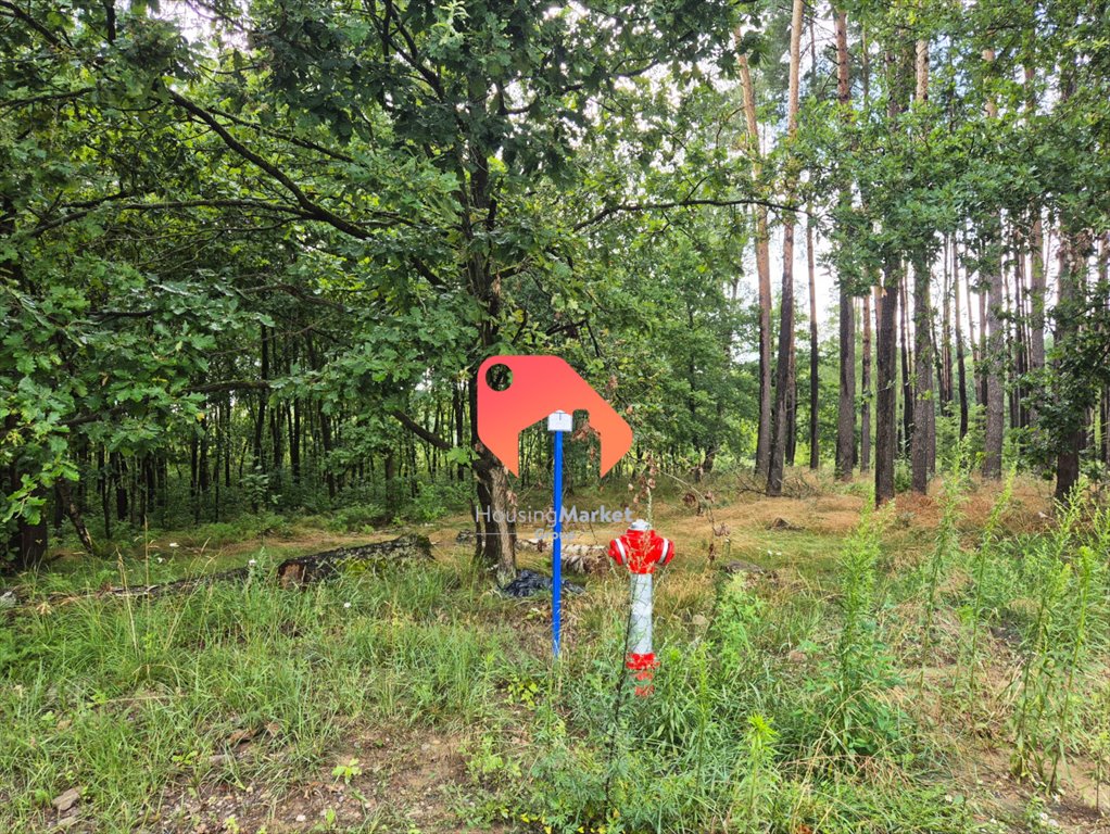 Do sprzedania działka 1889 m² z własną drogą w Nekli Nekla  1 889m2 Foto 1