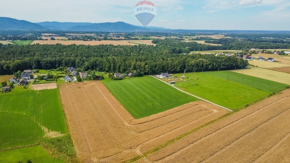 Działka rolna na sprzedaż Nidek, Różana  14 791m2 Foto 5