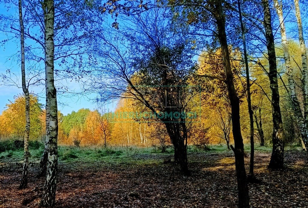 Działka budowlana na sprzedaż Radonie  1 500m2 Foto 2