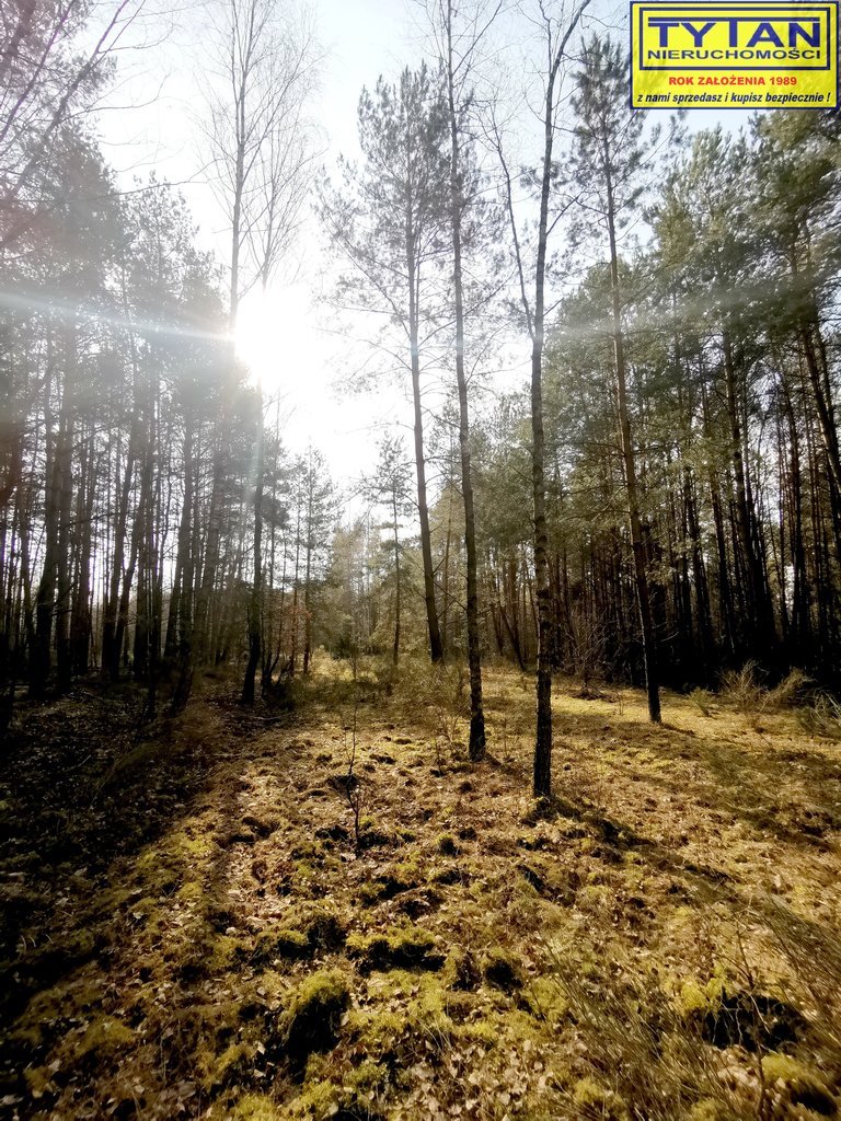 Działka leśna na sprzedaż Olszewo  3 500m2 Foto 6