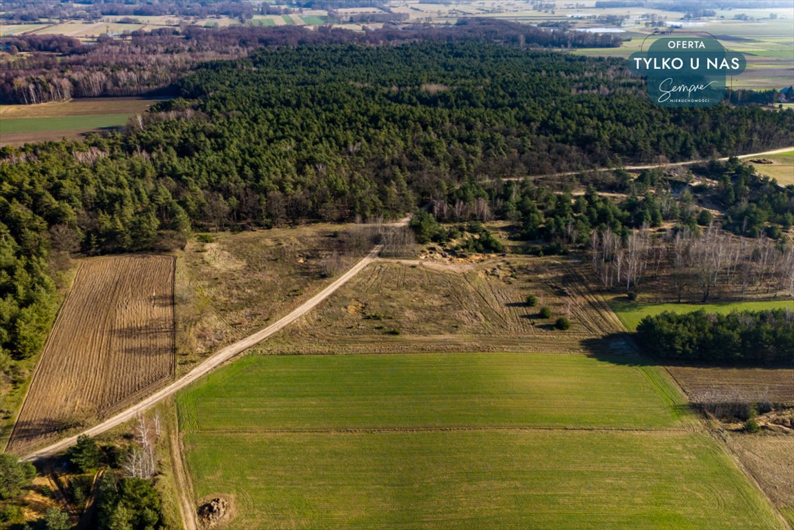 Działka rolna na sprzedaż Wilczków  13 536m2 Foto 9