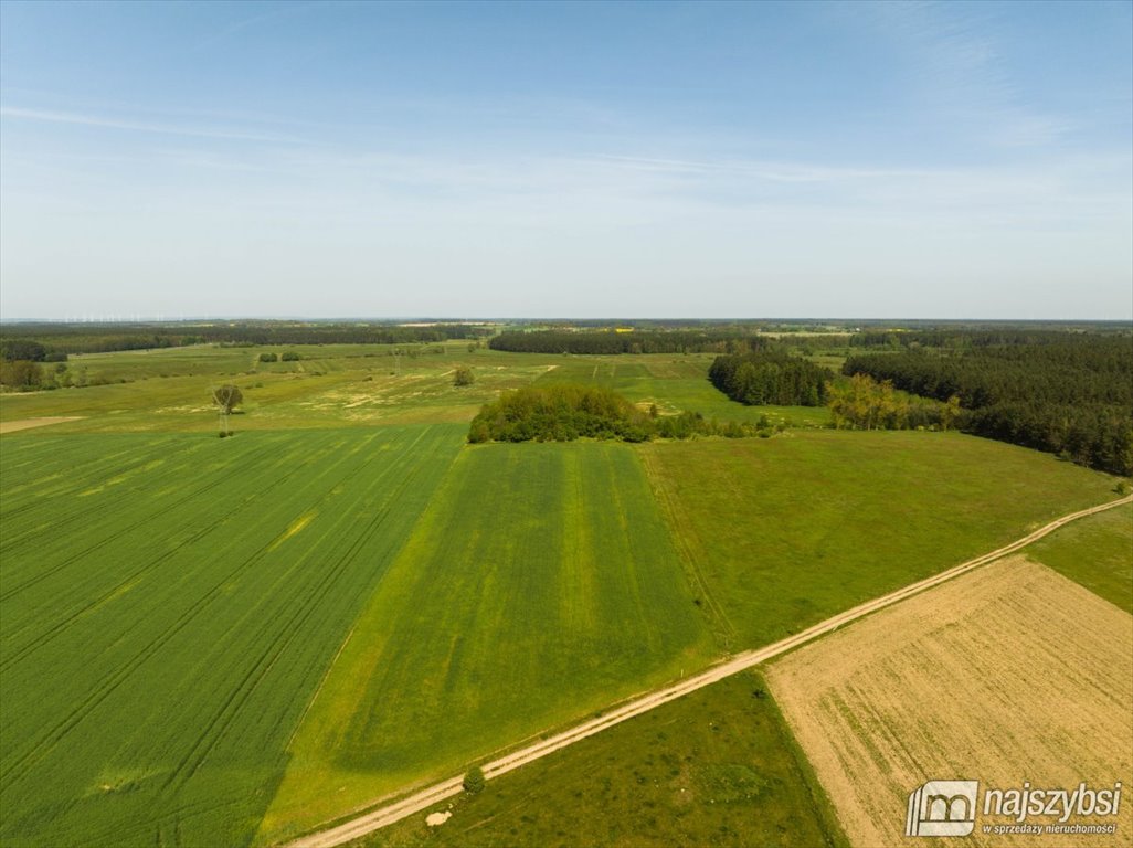 Działka rolna pod dzierżawę Przybiernów  15 202m2 Foto 4