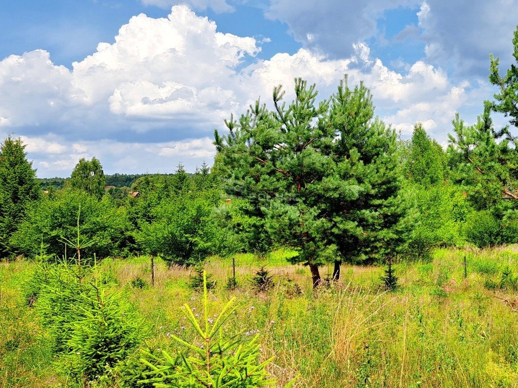 Dom na sprzedaż Kurki  132m2 Foto 11