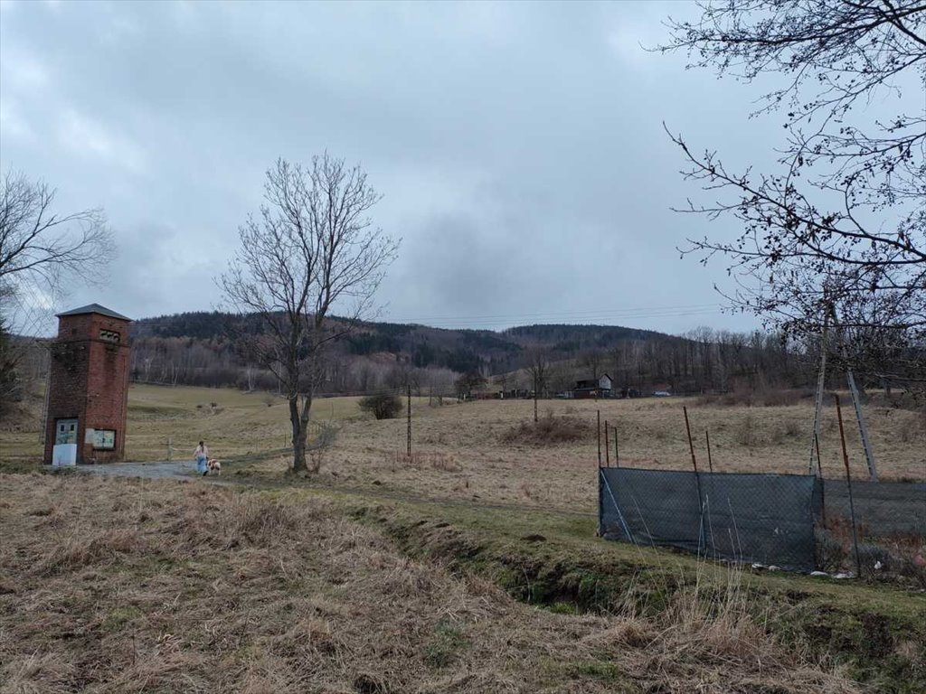 Mieszkanie dwupokojowe na sprzedaż Pieszyce, Kamionki  54m2 Foto 8