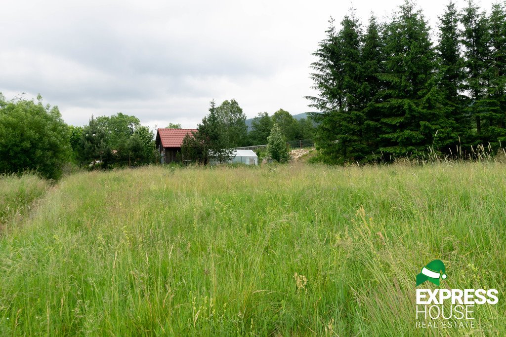 Działka budowlana na sprzedaż Stronie Śląskie  4 069m2 Foto 4