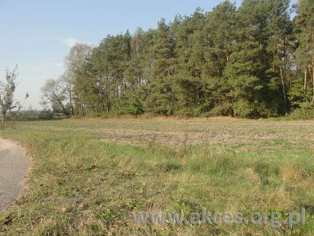 Działka 9000 m² pod zabudowę i hale, blisko Warszawy Wola Przypkowska  9 000m2 Foto 1